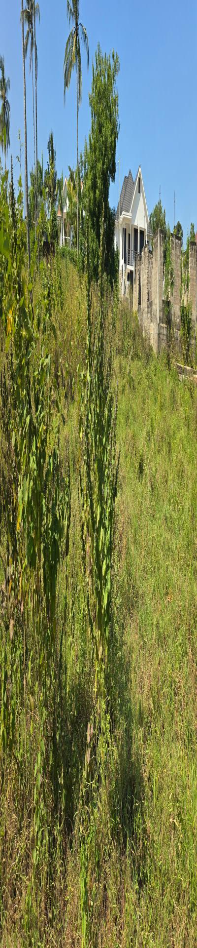 Intercity Property Hub: Tunauza Kiwanja