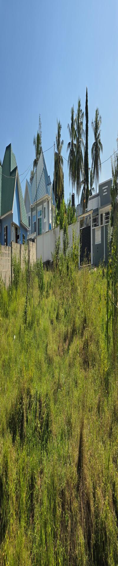 Intercity Property Hub: Tunauza Kiwanja