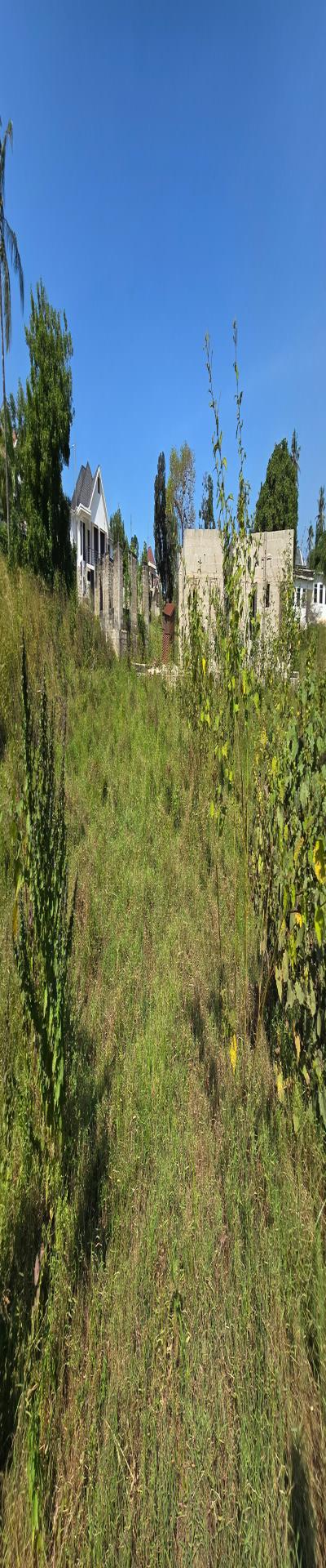 Intercity Property Hub: Tunauza Kiwanja