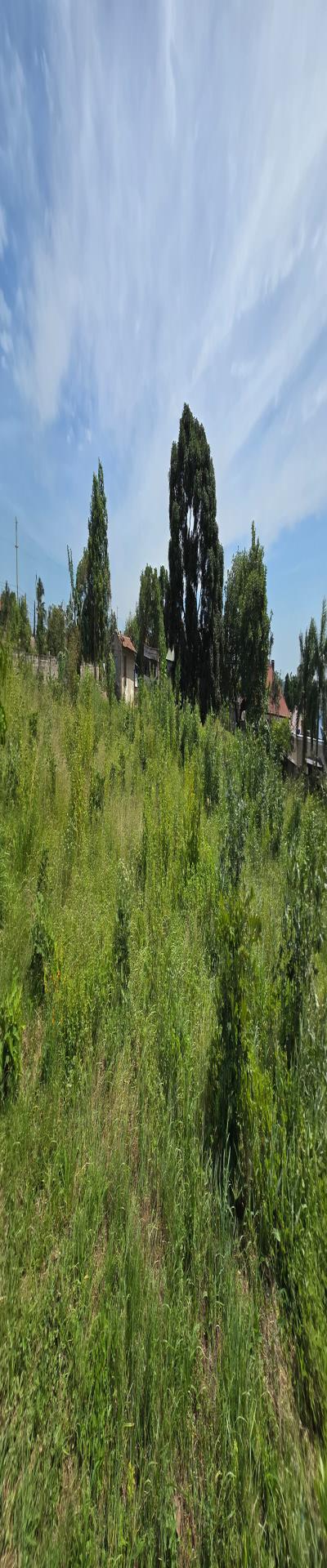 Intercity Property Hub: Plot for Sale.