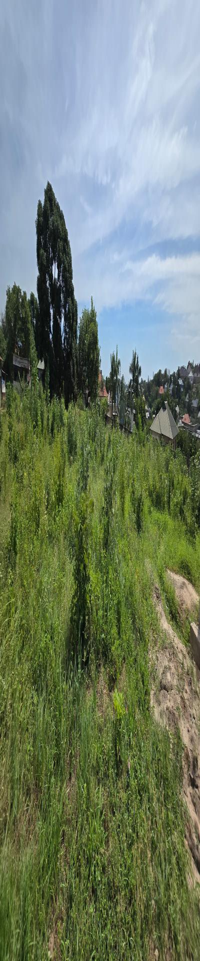 Intercity Property Hub: Plot for Sale.