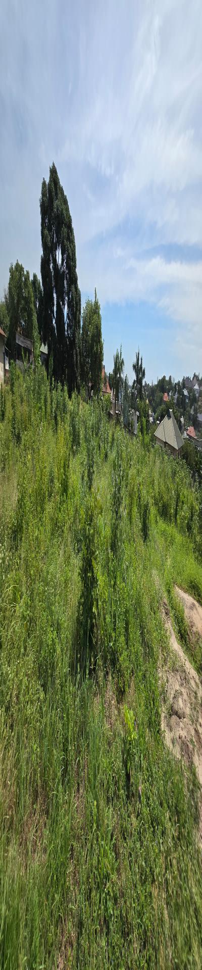 Intercity Property Hub: Plot for Sale.