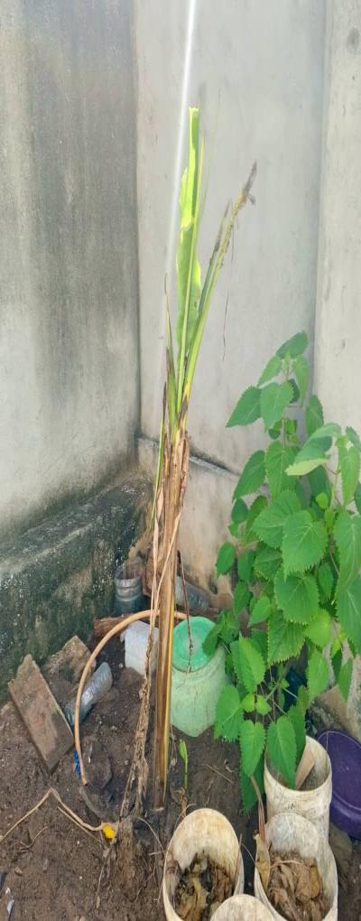 Intercity Property Hub: House for Sale.