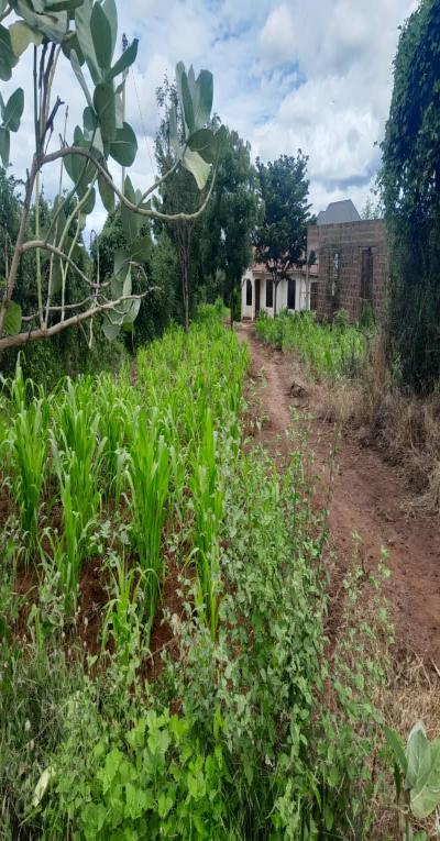 Intercity Property Hub: House for Sale.