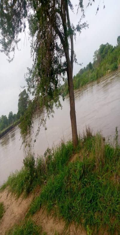 IPH: A 3000-Acre Farm for Sale - Bagamoyo.