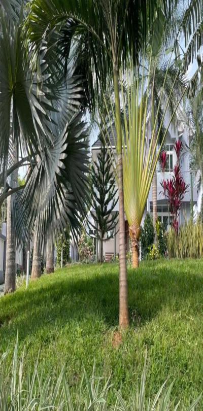 Intercity Property Hub