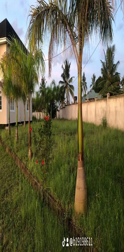 Intercity Property Hub