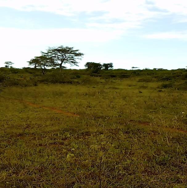 IPH: A 29-Acre Farm for Sale, Pangani - Tanga.-3