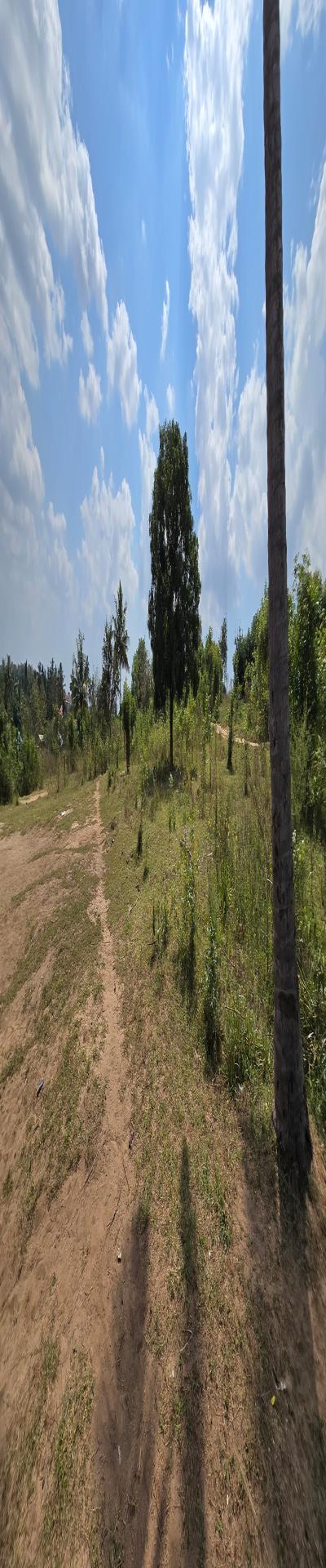 IPH: A Plot for Sale, Goba.