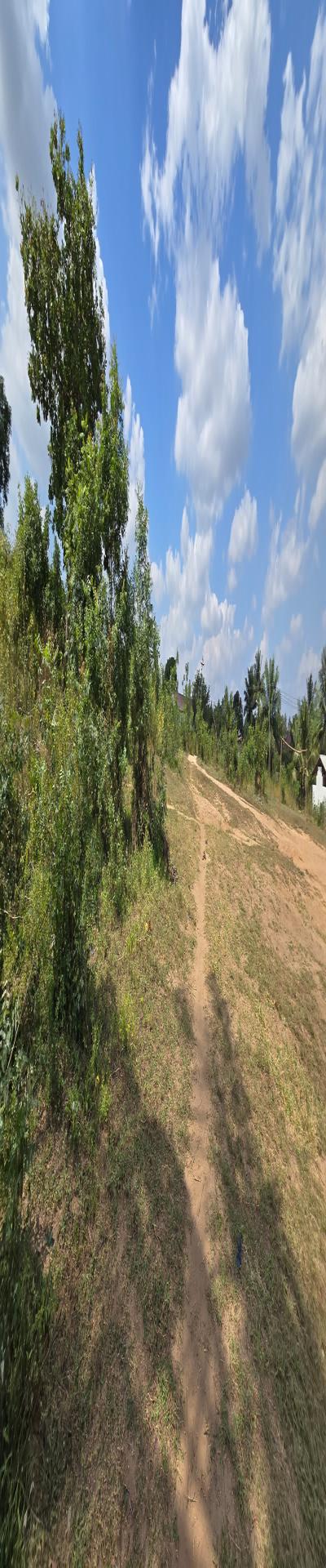 IPH: A Plot for Sale, Goba.