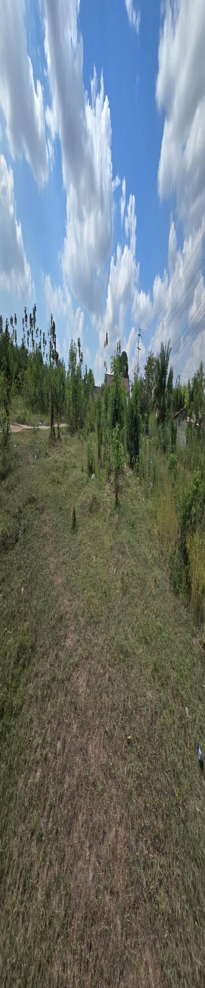 IPH: A Plot for Sale, Goba.