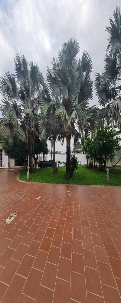 Intercity Property Hub