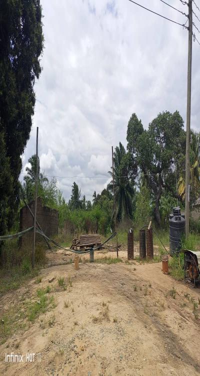 Intercity Property Hub