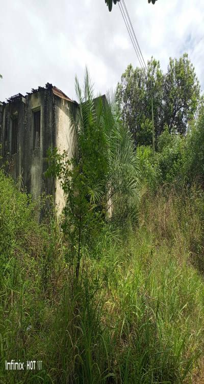 Intercity Property Hub