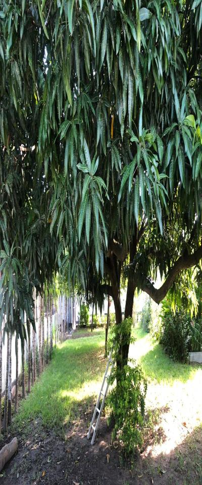 Intercity Property Hub