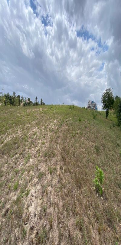 IPH: Strategic Plots for Sale - Kibamba CCM.