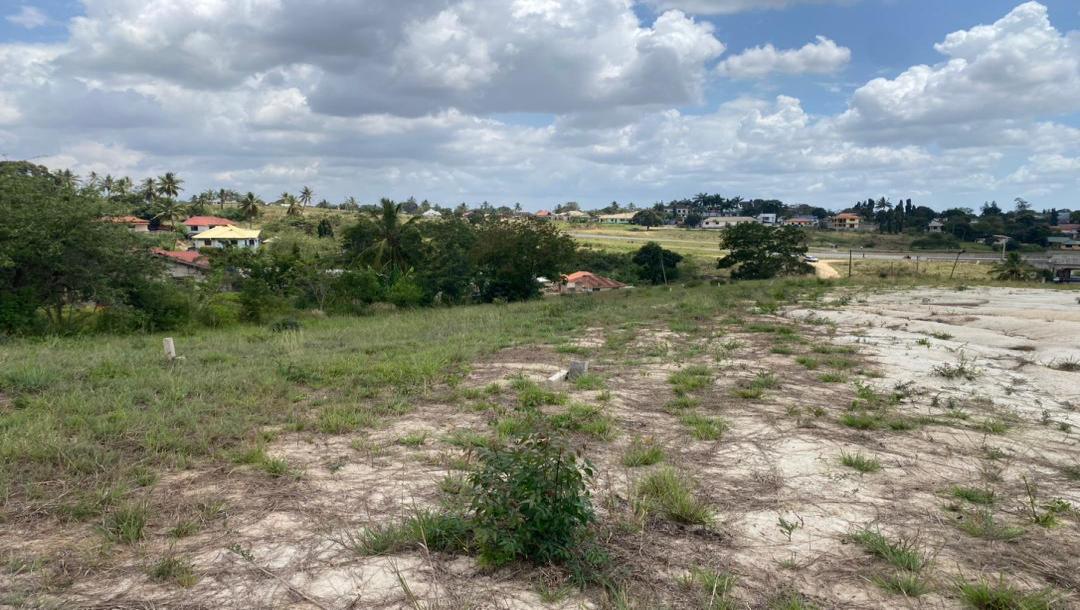 IPH: Strategic Plots for Sale - Kibamba CCM.-4