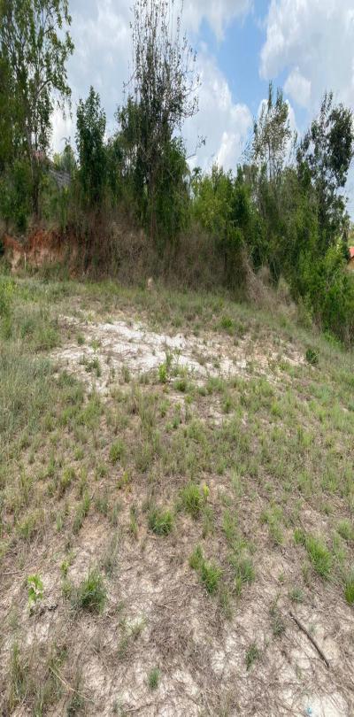 IPH: Strategic Plots for Sale - Kibamba CCM.