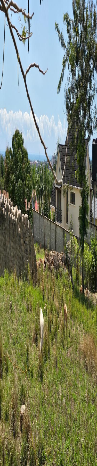 IPH: A 2,900-SQM Prime Plot for Sale - Salasala.-4