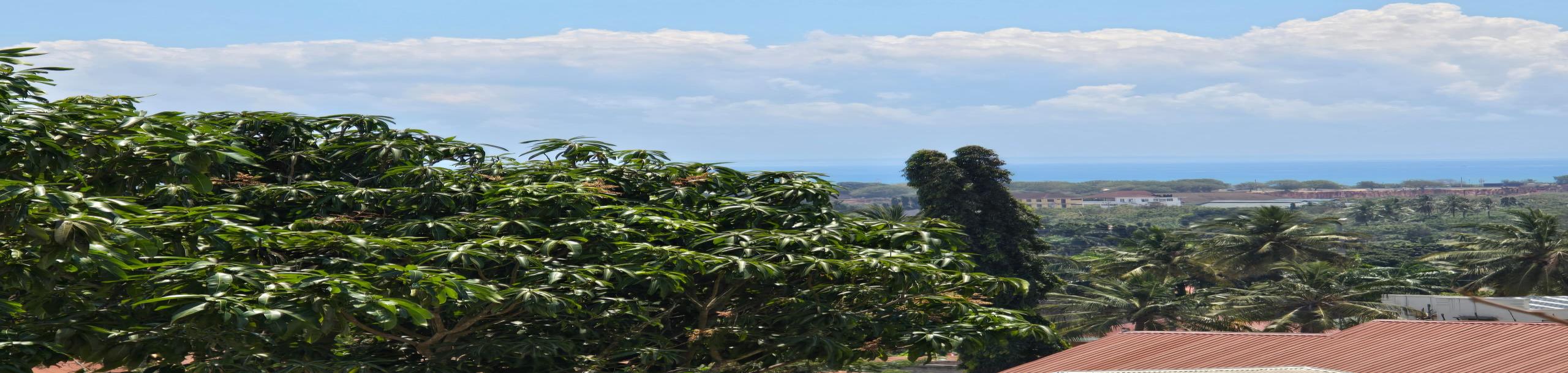 IPH: A 2,900-SQM Prime Plot for Sale - Salasala.-3