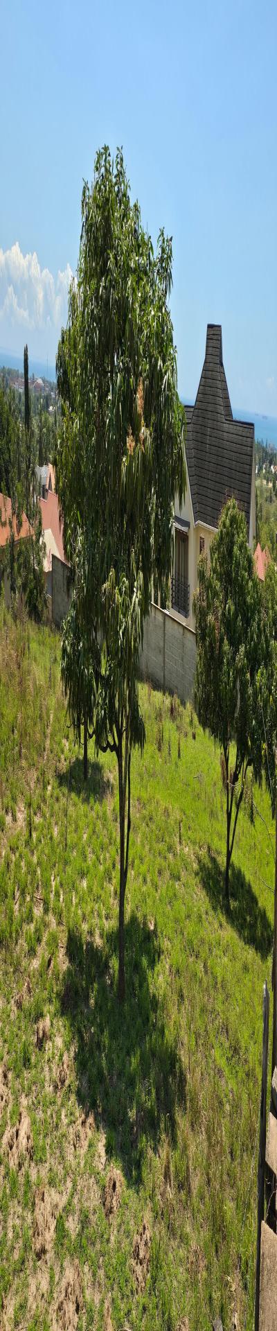 IPH: A 2,900-SQM Prime Plot for Sale - Salasala.-5