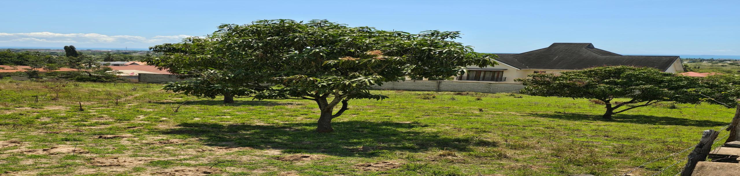 IPH: A 2,900-SQM Prime Plot for Sale - Salasala.-5