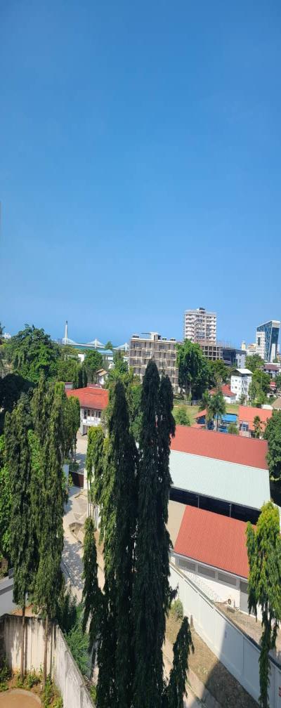 IPH: A Fully-Furnished Apartment for Rent - Upanga.