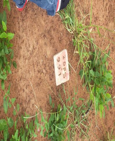 Intercity Property Hub