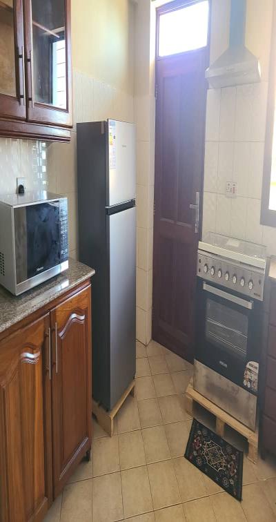 IPH: A Fully-Furnished Apartment for Rent - Upanga.