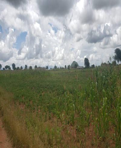 Intercity Property Hub