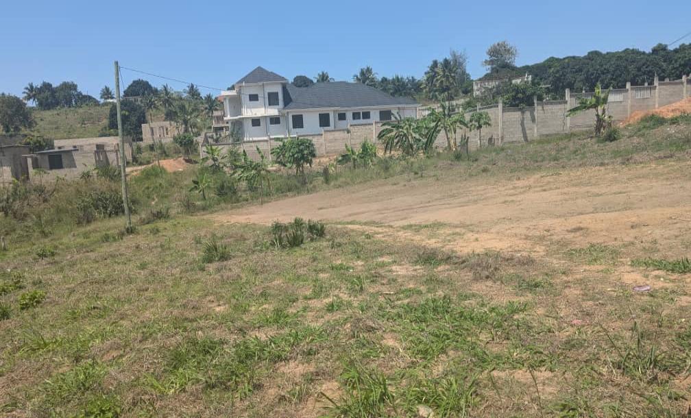 IPH: A Big Plot for Sale - Goba Mpakani.-1