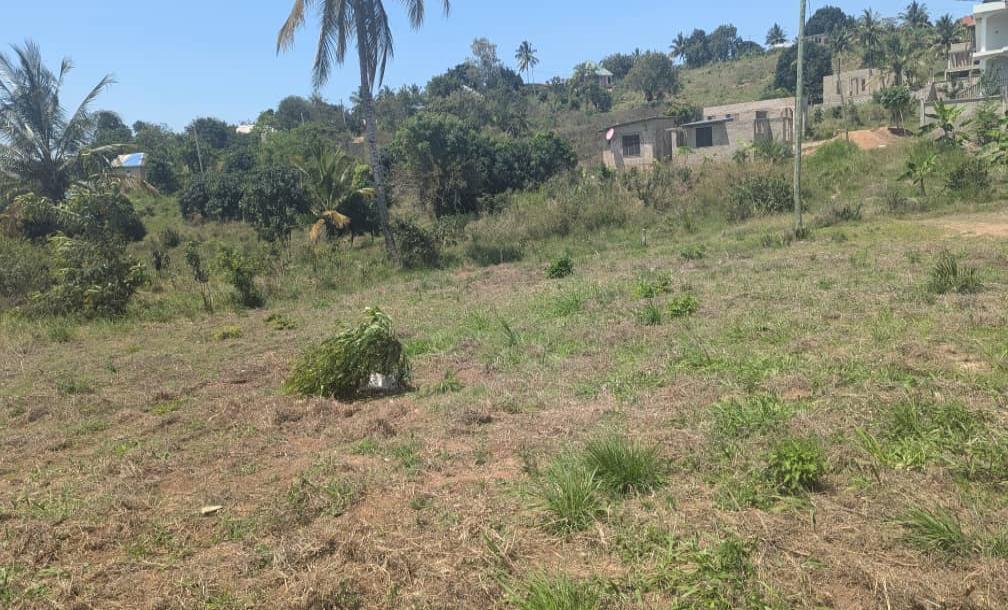 IPH: A Big Plot for Sale - Goba Mpakani.-2