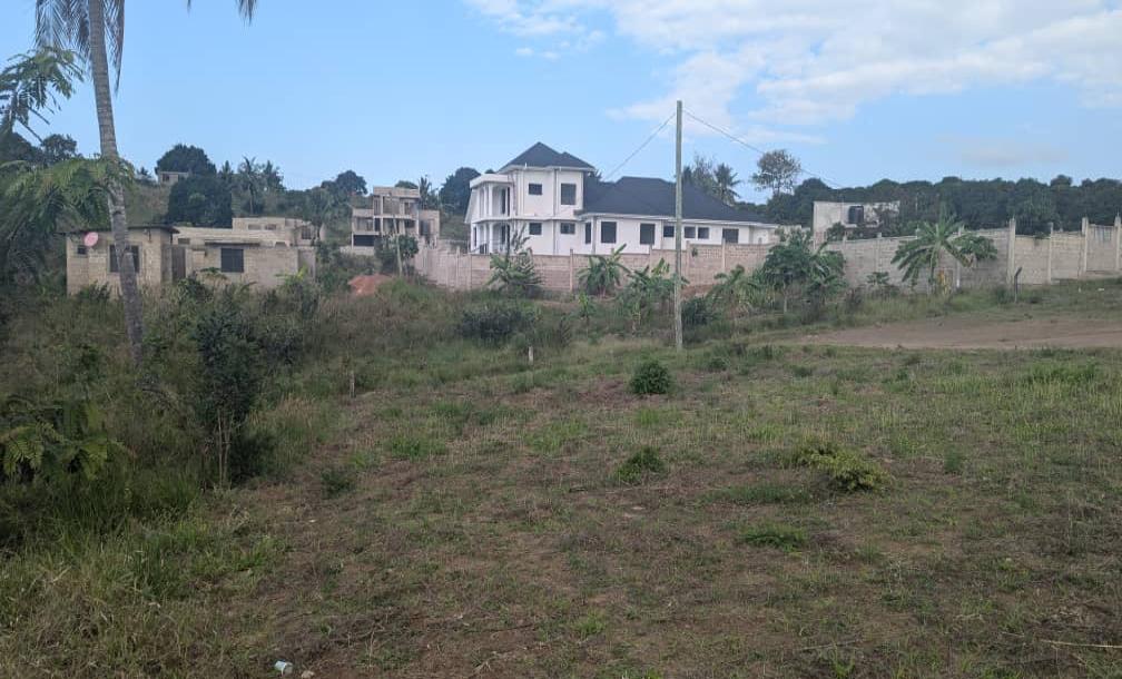 IPH: A Big Plot for Sale - Goba Mpakani.-5