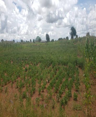 Intercity Property Hub