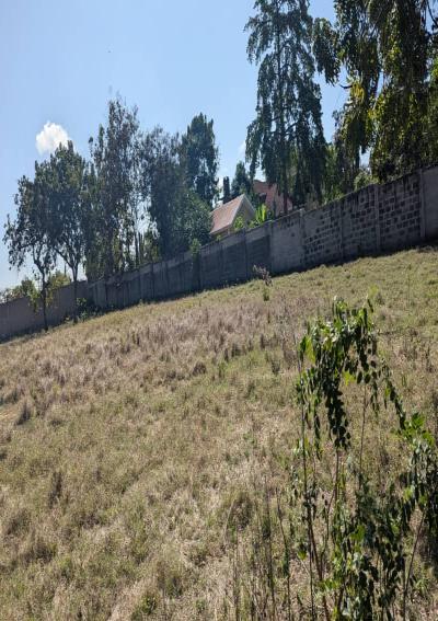 Intercity Property Hub