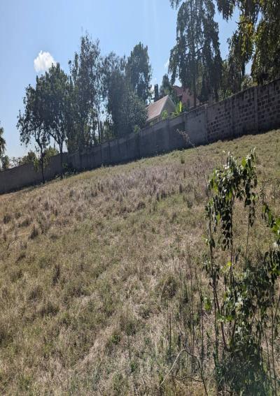 Intercity Property Hub