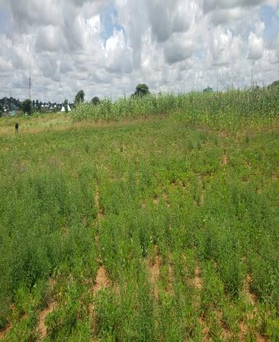 Intercity Property Hub