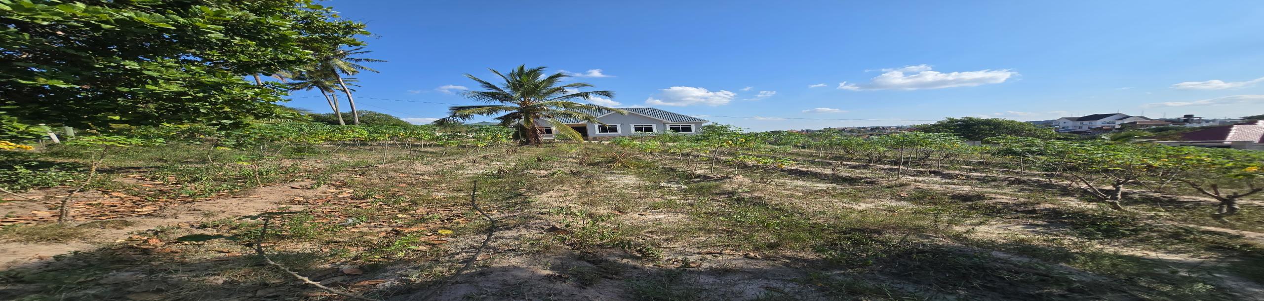 Intercity Property Hub-1