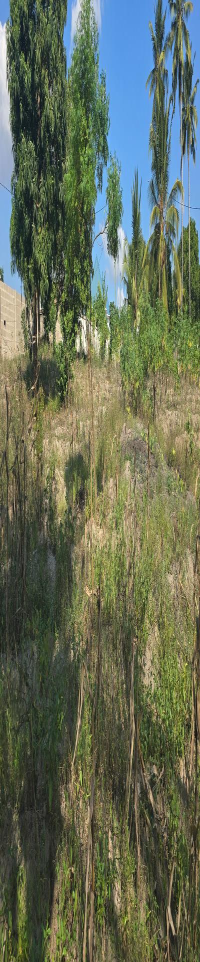 Intercity Property Hub