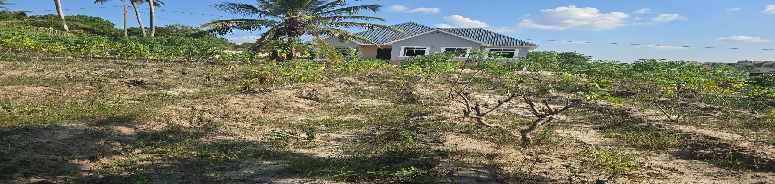 Intercity Property Hub-6