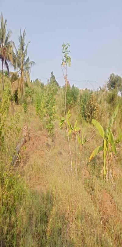 IPH: Prime Plots for Sale -Goba Kulangwa.