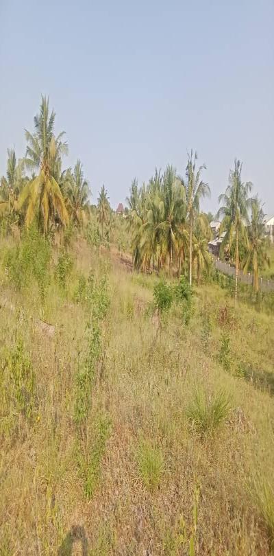IPH: Prime Plots for Sale -Goba Kulangwa.