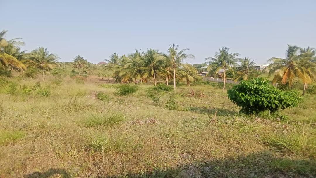 IPH: Prime Plots for Sale -Goba Kulangwa.-10