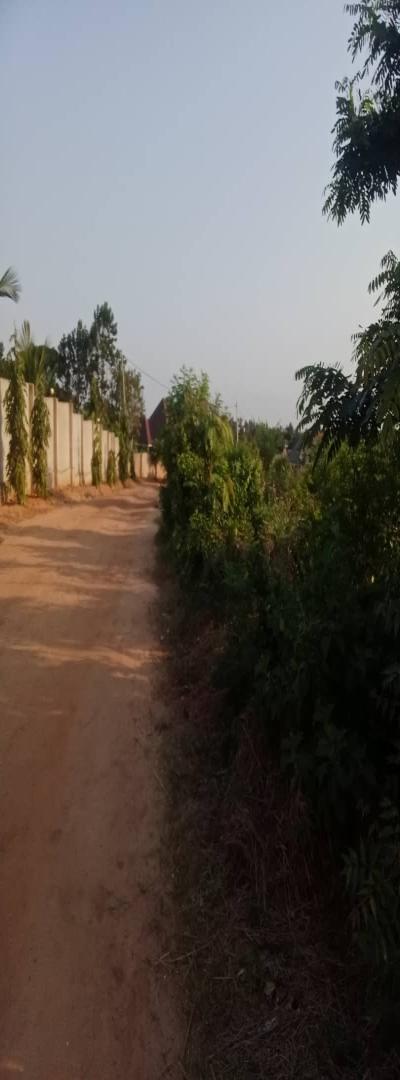 IPH: Prime Plots for Sale -Goba Kulangwa.