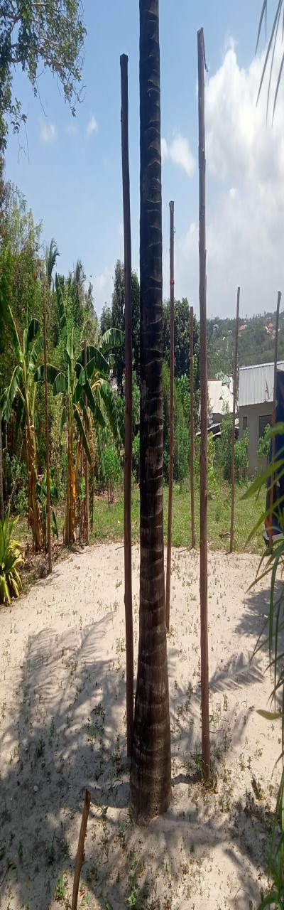 IPH: Tunauza Kiwanja - Mbezi Juu (Kwa Sanya).