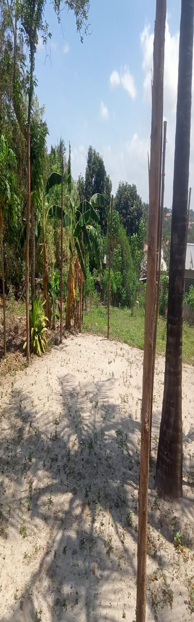 IPH: Tunauza Kiwanja - Mbezi Juu (Kwa Sanya).