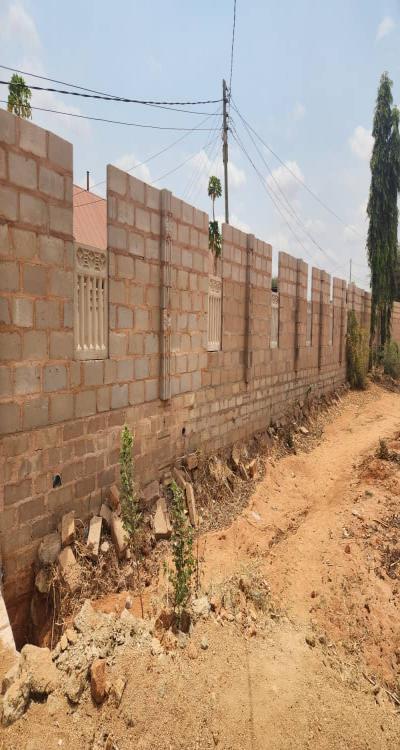 IPH: Sunflower Oil Processing Machine for Rent.