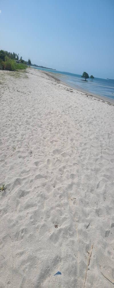 IPH: A Four-Acre Beach Plot for Sale, Gezaulole, Dar Es Salaam.