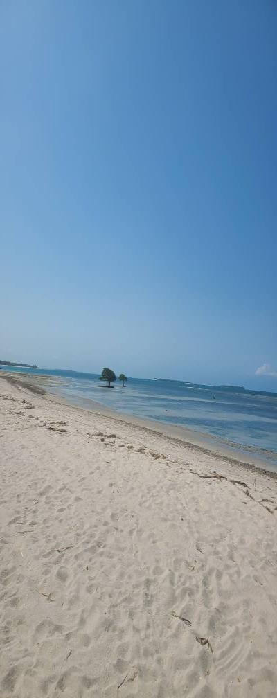 IPH: A Four-Acre Beach Plot for Sale, Gezaulole, Dar Es Salaam.