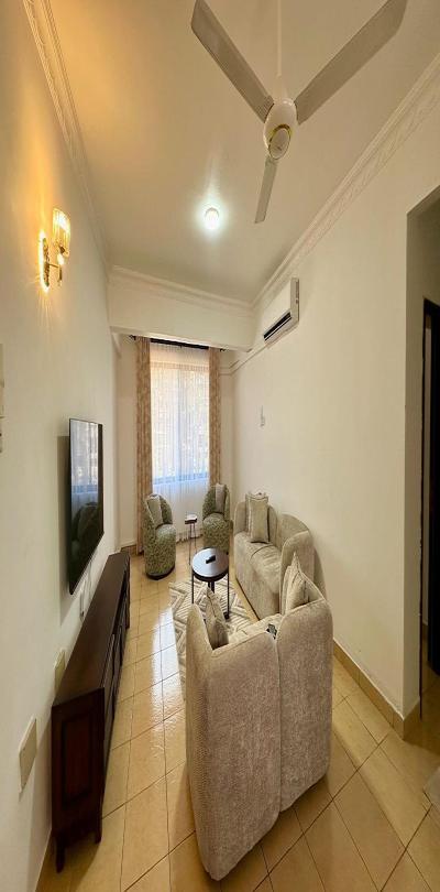 IPH: A Fully-Furnished Apartment for Rent - Upanga.